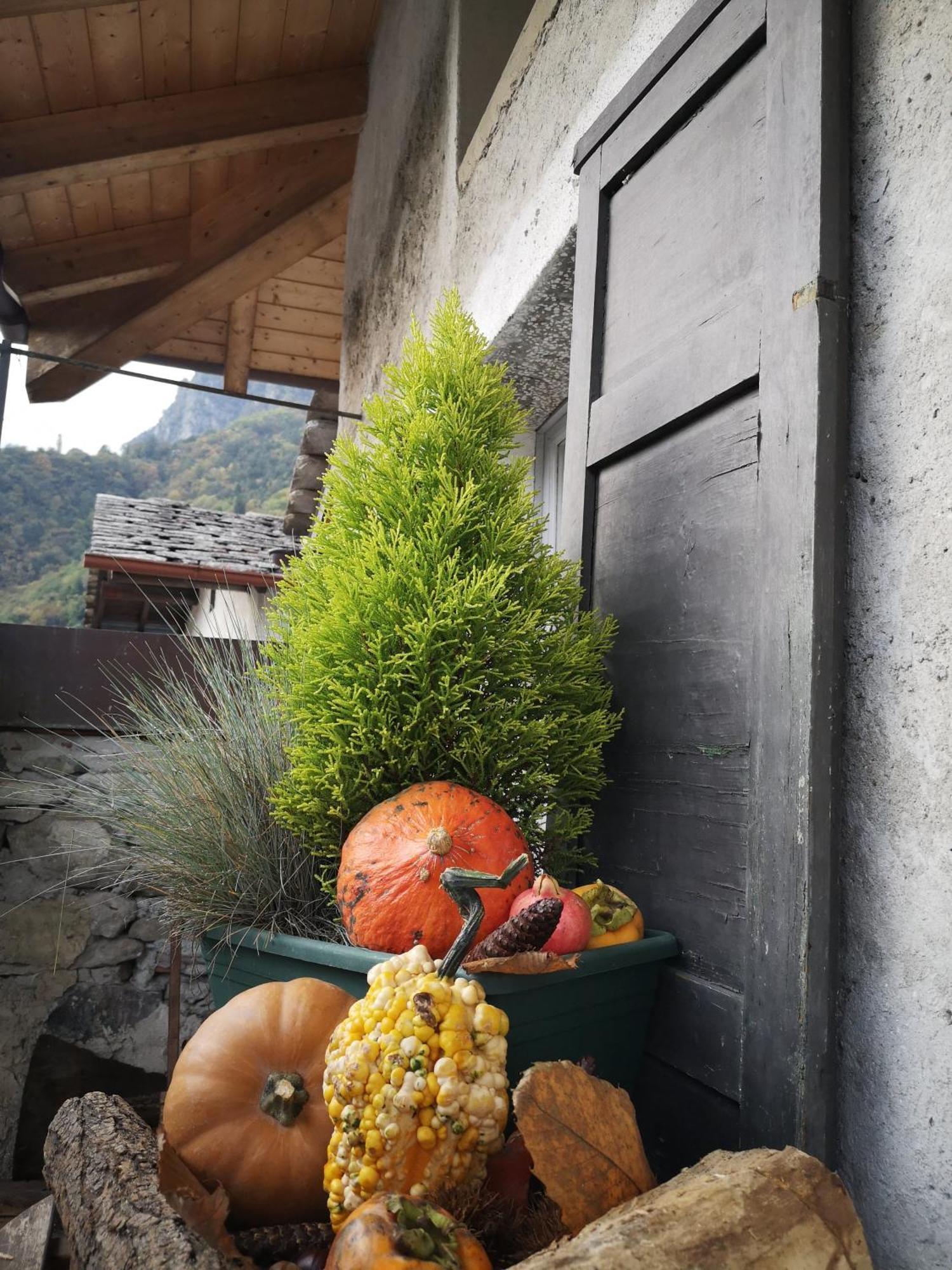Appartamento San Carlo Chiavenna Esterno foto